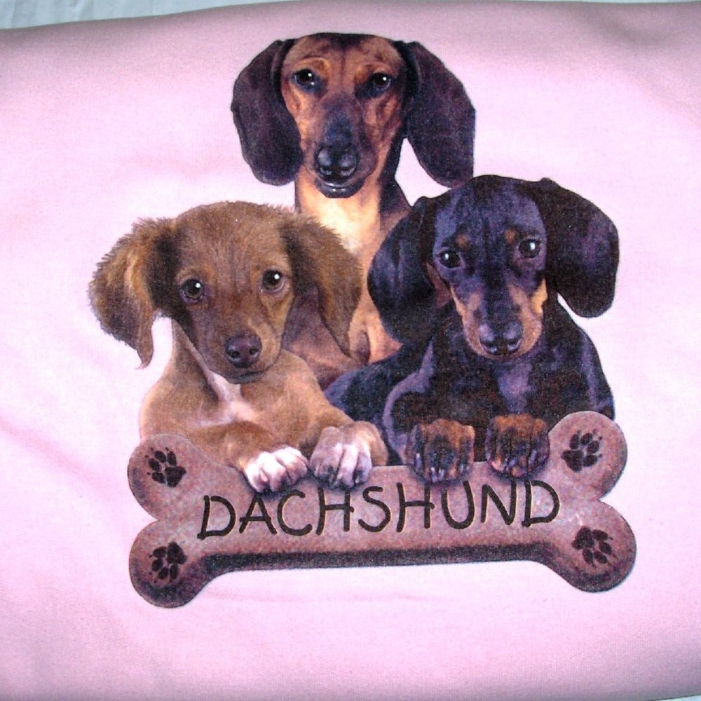 Pink - Daschound Pups Crew Neck Sweatshirt